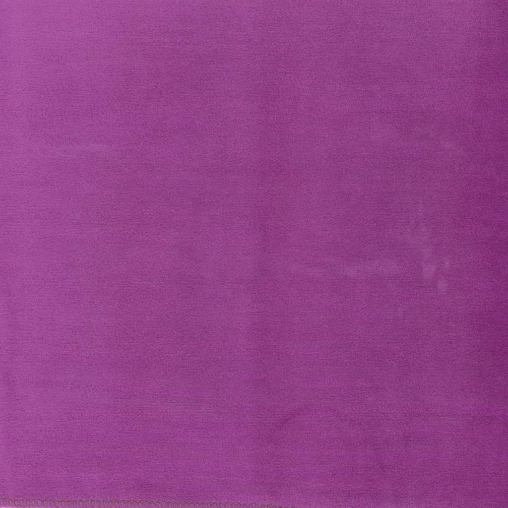 Posh Purple Pansy