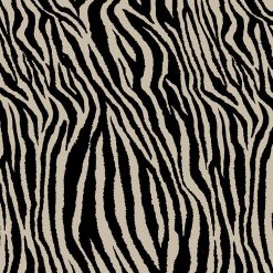Zebra Zen